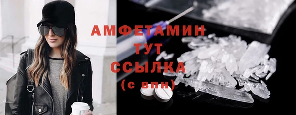 прущие грибы Аркадак