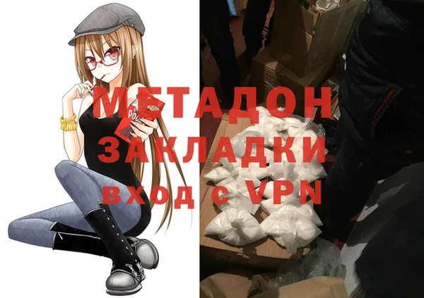 прущие грибы Аркадак